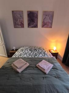 Appartements Grand appartement cosy lumineux : photos des chambres
