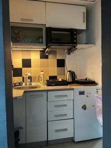 Apartment in Vračar