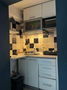 Apartment in Vračar