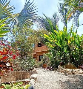 Casa de los Pájaros 3, nature near the beach