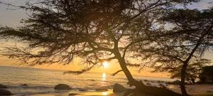 Apartamento Santa Marta Sector Don Jaca