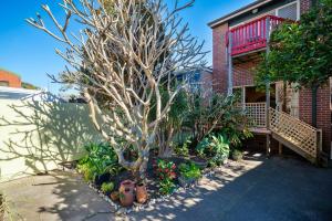 Spacious Creative Haven Near Cafes, Craft Breweries, Parks, Live Music & Art