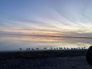 Waterfront Home with stunning views