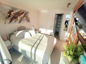 Reñaca Ocean View Apartment