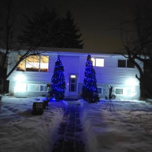 Dream house