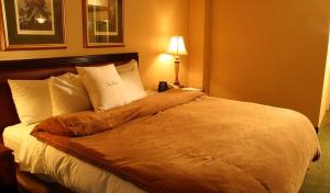 My house apartment & hotel