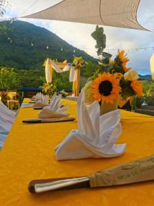 Hotel Nido de Pájaro