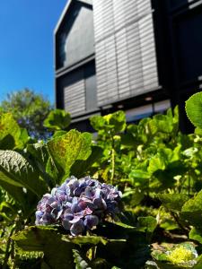 Hotel Nido de Pájaro