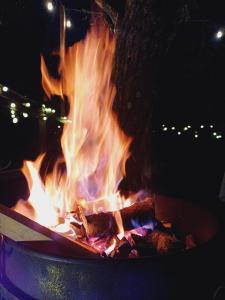 Hotel Nido de Pájaro