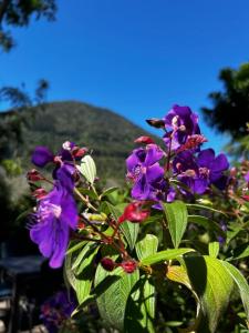Hotel Nido de Pájaro