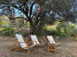 Gazdinstvo Đurović