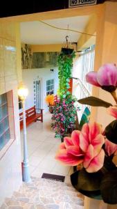 Posada guitos - Ubytování bez kategorie ve městě Xilitla