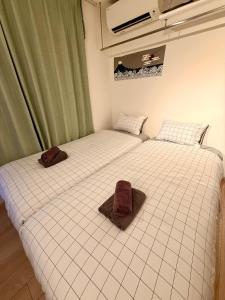 Shibuya Simplex 3F, sunlight and 2 beds