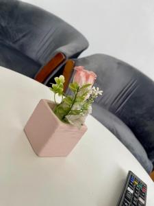 Departamento Aeropuerto #1