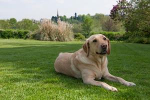 Wilton Road, Ross-on-Wye, Herefordshire HR9 6AA, England.