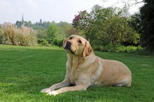 Wilton Road, Ross-on-Wye, Herefordshire HR9 6AA, England.