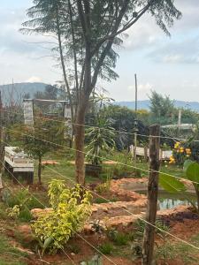 Elmadel Coffee Gardens Wooden One Bed Cottage