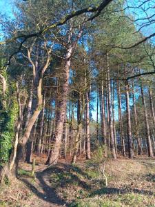 Alex s bed and breakfast