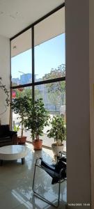 Departamento Santiago Centro Pasarela Huérfanos