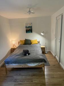 Vörös Patak Apartmanház -Red Creek Apartmant House