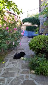 Labor istrska hiška