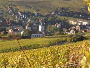 Appartements Le Bacchus : photos des chambres