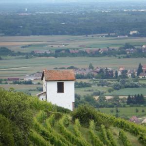 Appartements Le Bacchus : photos des chambres