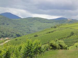 Appartements Le Bacchus : photos des chambres