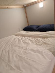 Your Space Capsule Hotel Fuji Station