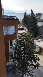 Centro Cívico departamentos