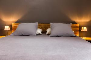 Appart'hotels Resid'Spa Loire & Sevre : photos des chambres