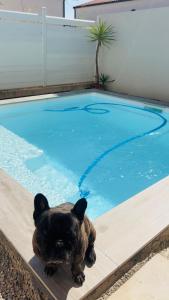 Belle chambre dans villa neuve avec piscine