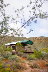 Agama Tented Camp