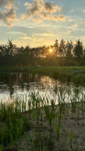 Baldones dabas retrīts - Exclusive private nature retreat with optional jacuzzi and sauna near Riga