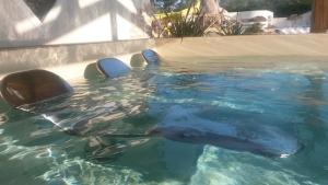 Bontempo Village La Yole