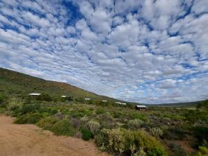 Agama Tented Camp