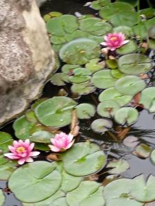 Au rocher de Pascal lit mezzanine
