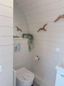 Lieblingsplatz Parey - schwimmendes Iglu