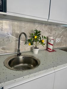 Appartements Proche de la Joliette et des terrasses du port : photos des chambres