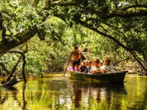 Maisons de vacances Maison ambiance cabane exotique climatisee piscine & spa 3 chambres 6 personnes : photos des chambres