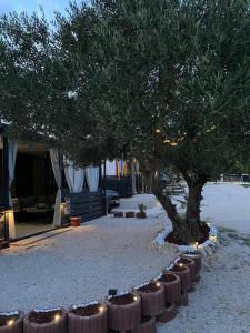 StayAdriatic Mobile Homes Olive