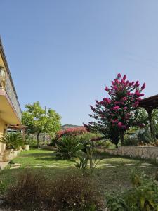 Il Castello di Modolo img43