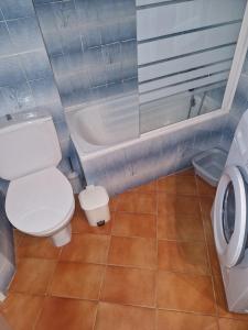 Le nid de la mouette