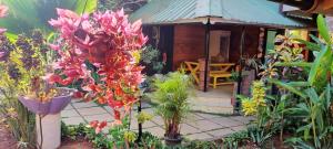 The Yuppi Hippi Beachpackers Hostel