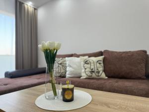 Apartman Daca Apatin