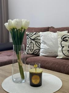 Apartman Daca Apatin