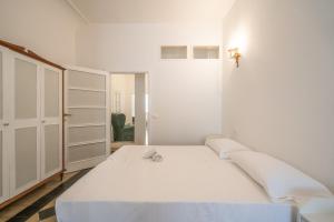 Grande e luminoso appartamento in centro