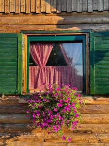 Brvnara LARA Banja Vrujci