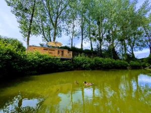 Au silence des Peupliers