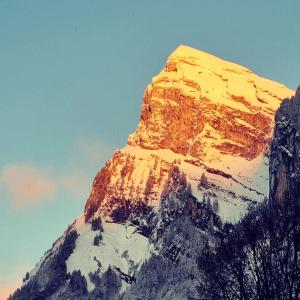 Appartements Appart 3 pieces Cosy - ideal famille & sports Le Cairn De Samoens : photos des chambres